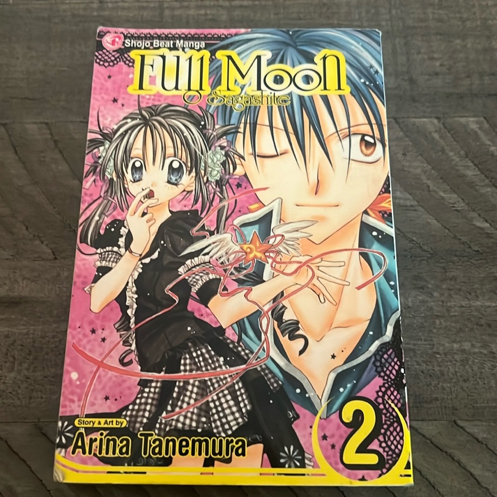 Full Moon Vol.2 Arina Tanemura